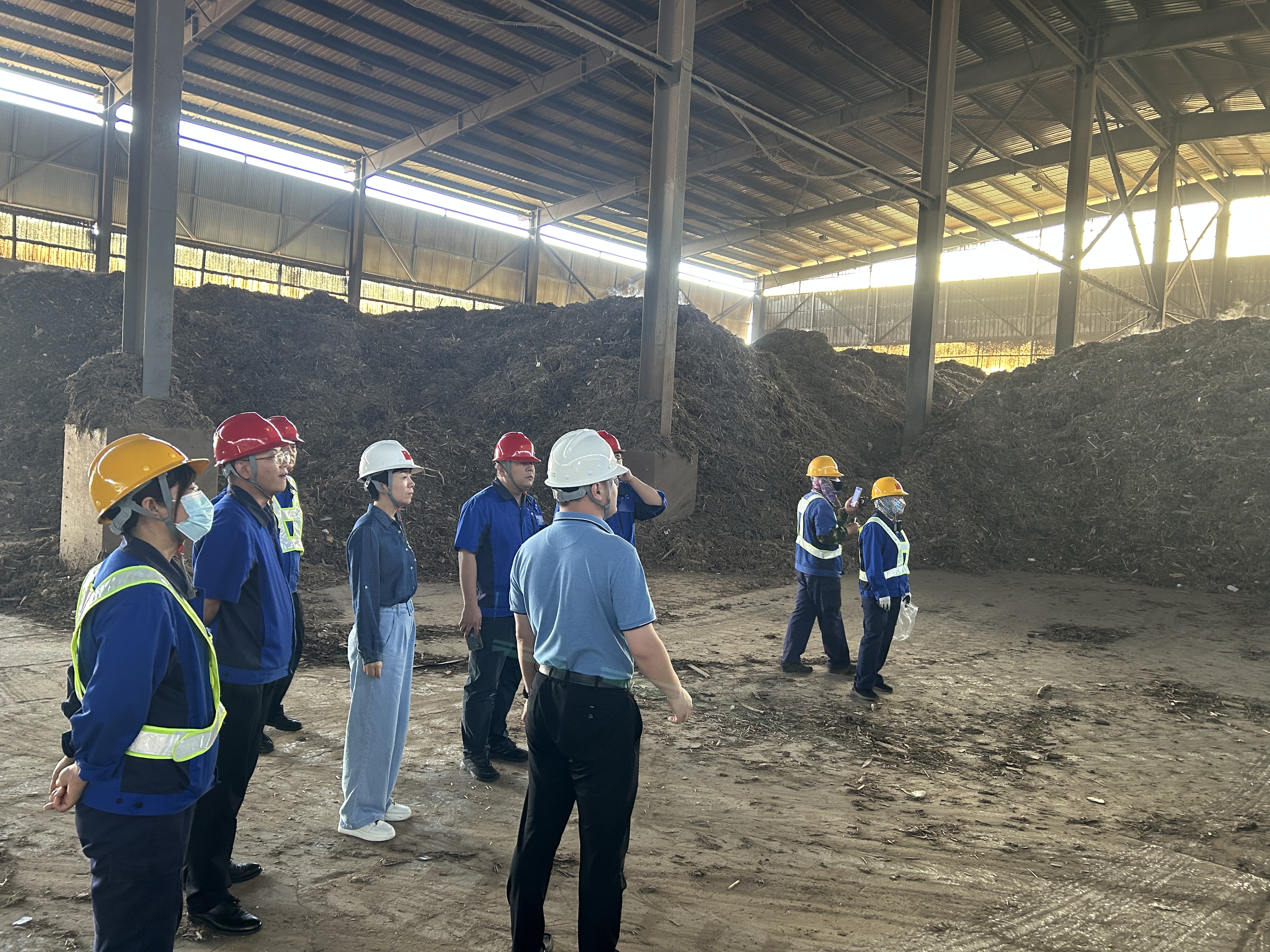 1719885395292.jpg 生物質燃料.jpg