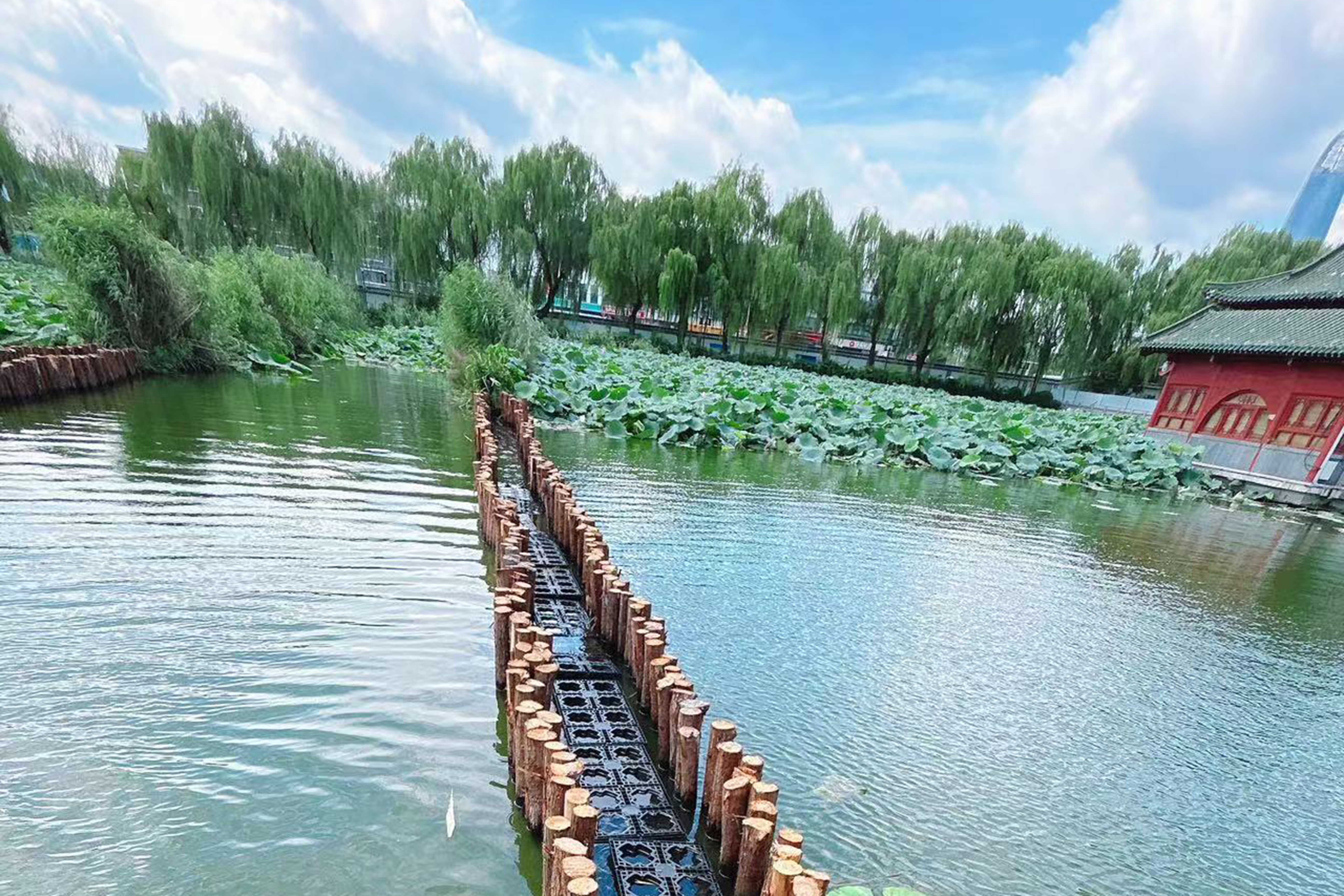 1723595534841.png 數(shù)字1—大明湖項(xiàng)目現(xiàn)場.png